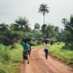 voyage en Afrique du Sud