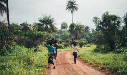 voyage en Afrique du Sud