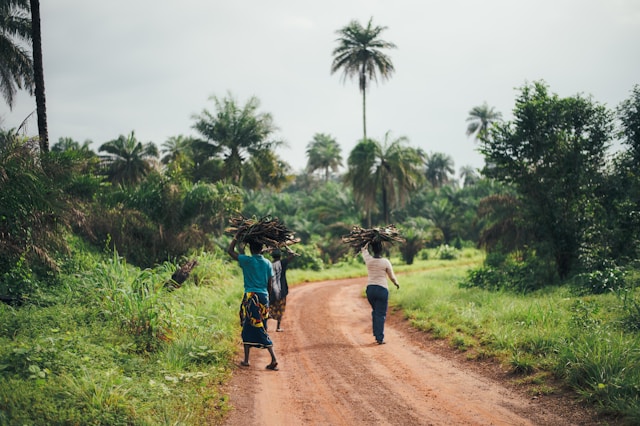 voyage en Afrique du Sud