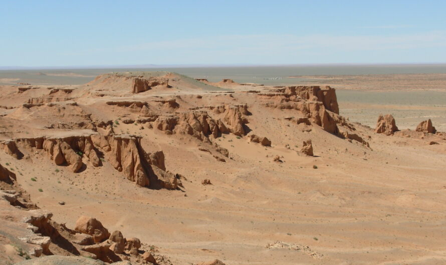 Une aventure inoubliable à Bayanzag dans le désert de Gobi