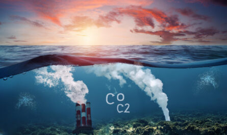 les océans absorbent le dioxyde de carbone