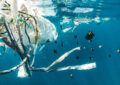 L’impact de la pollution plastique sur les écosystèmes marins