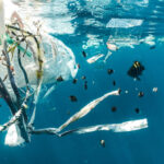 L’impact de la pollution plastique sur les écosystèmes marins
