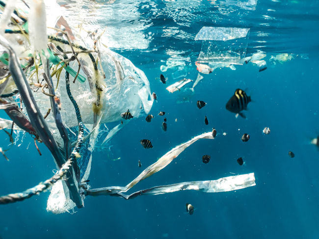 L’impact de la pollution plastique sur les écosystèmes marins : un défi urgent