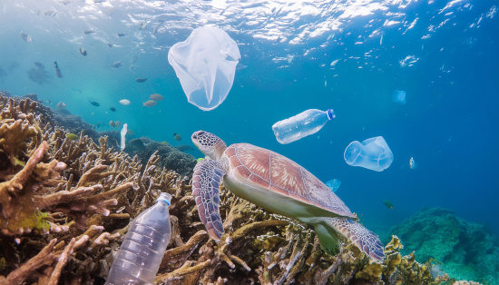la pollution plastique