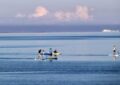 stand-up paddle