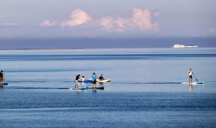 stand-up paddle